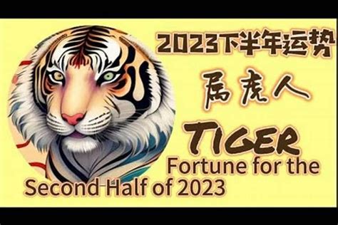 虎年 2023|属虎的人2023年全年运程运势